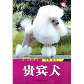 千娇百媚:贵宾犬