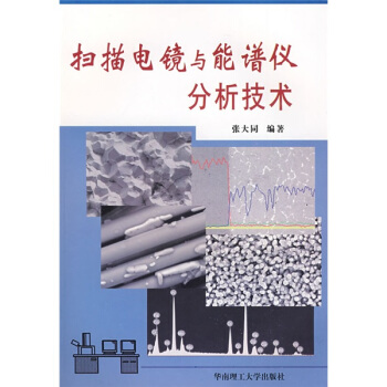 扫描电镜与能谱仪分析技术 pdf epub mobi 电子书 下载