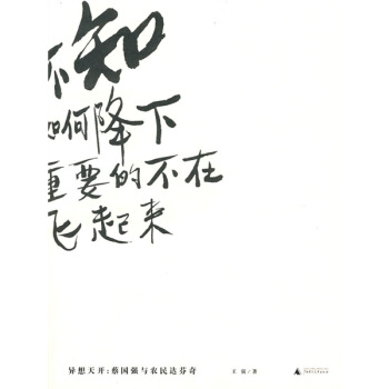 异想天开：蔡国强与农民达芬奇 pdf epub mobi 电子书 下载
