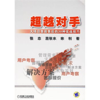 超越對手：大項目售前售後的30種實戰技巧 pdf epub mobi 電子書 下載
