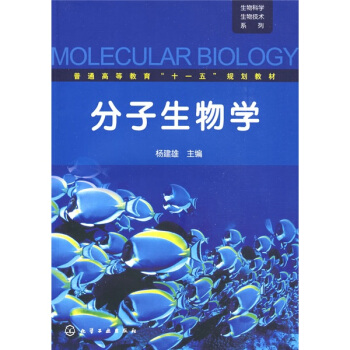 普通高等教育“十一五”规划教材：分子生物学 pdf epub mobi 电子书 下载