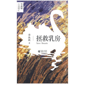 拯救乳房 pdf epub mobi 电子书 下载