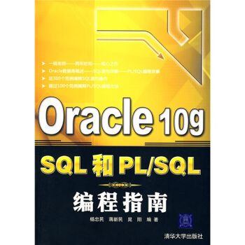 Oracle 10g SQL和PL/SQL编程指南 pdf epub mobi 电子书 下载