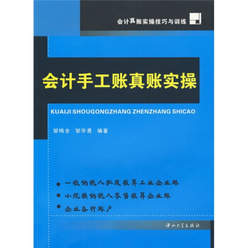 會計真賬實操技巧與訓練：會計手工賬實操 pdf epub mobi 電子書 下載