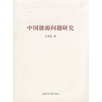 中國能源問題研究