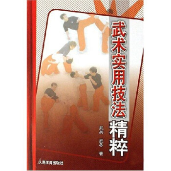 武术实用技法精粹 pdf epub mobi 电子书 下载