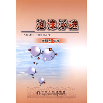 泡沫浮选 pdf epub mobi 电子书 下载