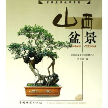 中国盆景精品赏析：山西盆景 pdf epub mobi 电子书 下载
