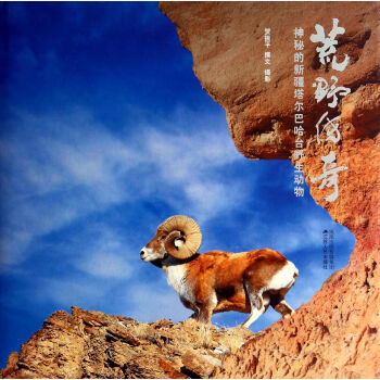 荒野传奇(神秘的新疆塔尔巴哈台野生动物)(精) pdf epub mobi 电子书 下载