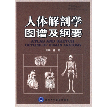 人體解剖學圖譜及綱要 pdf epub mobi 電子書 下載