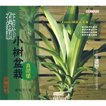 在家种小树盆栽真简单 pdf epub mobi 电子书 下载