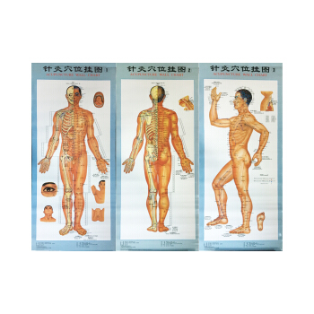 针灸穴位挂图（1-3）（附说明书） pdf epub mobi 电子书 下载