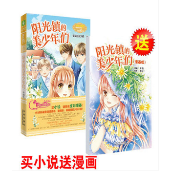 阳光镇的美少年们 意林小小姐 买小说送同名全彩漫画 pdf epub mobi 电子书 下载