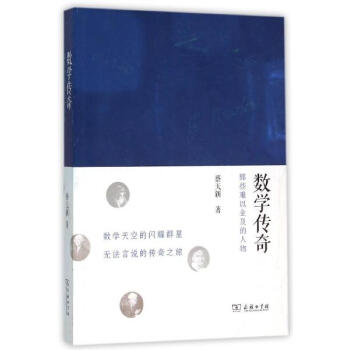 数学传奇 pdf epub mobi 电子书 下载