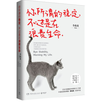 你所谓的稳定，不过是在浪费生命 李尚龙老师写给万千年轻人 pdf epub mobi 电子书 下载