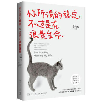 你所谓的稳定,不过是在浪费生命 pdf epub mobi 电子书 下载