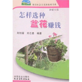 怎樣選種盆花賺錢:種植業篇