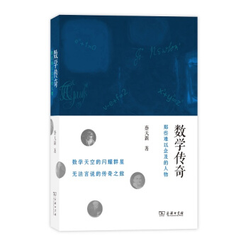數學傳奇：那些難以企及的人物 pdf epub mobi 電子書 下載