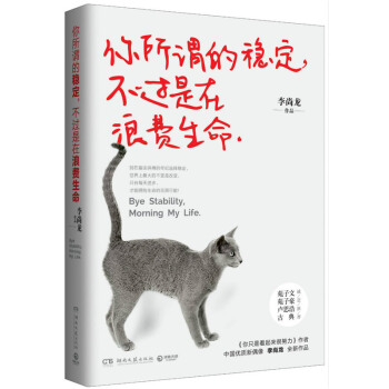 你所谓的稳定，不过是在浪费生命 李尚龙著 励志成功 自我完善 书籍 pdf epub mobi 电子书 下载