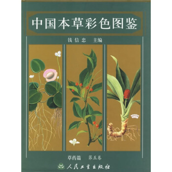 中国本草彩色图鉴第5卷：草药篇 pdf epub mobi 电子书 下载