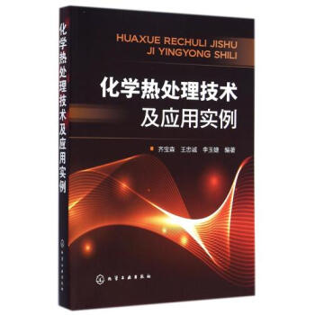 化学热处理技术及应用实例 齐宝森//王忠诚//李玉婕 正版书籍 pdf epub mobi 电子书 下载