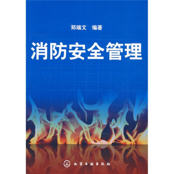 消防安全管理 pdf epub mobi 电子书 下载