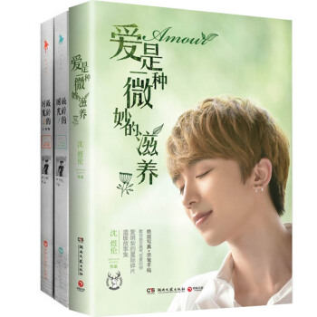 现货包邮 全套3册 爱是一种微妙的滋养+破碎的时光1-2册 沈肯尼沈煜伦的书籍作品美伦子小 pdf epub mobi 电子书 下载