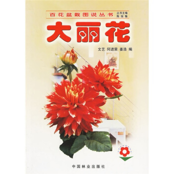 大丽花 pdf epub mobi 电子书 下载