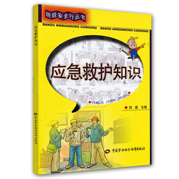 班組安全行叢書：應急救護知識 pdf epub mobi 電子書 下載