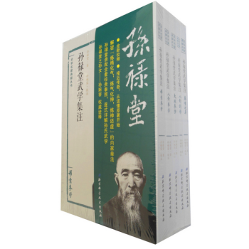 孙禄堂武学集注 pdf epub mobi 电子书 下载