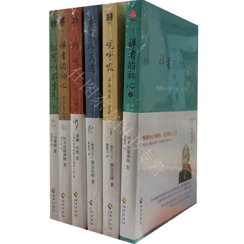 内观+观呼吸+八正道+你可以不生气+禅者的初心1+禅者的初心2 全套6册 禅修佛教入门 pdf epub mobi 电子书 下载
