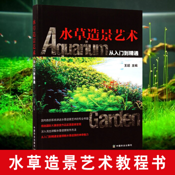 水草造景艺术书籍 水草造景艺术从入门到精通者:王超 水族箱鱼缸造景生活时尚水草 栽培与造景水草造景书 pdf epub mobi 电子书 下载