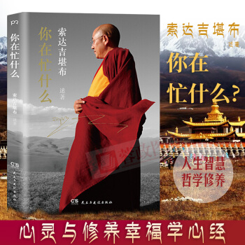 21省包邮 你在忙什么 藏传佛教大德索达吉堪布继苦才是人生后新书 现代人心灵修养人生智慧哲学宗教书籍 pdf epub mobi 电子书 下载