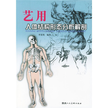 艺用人体结构形态分析解剖 pdf epub mobi 电子书 下载