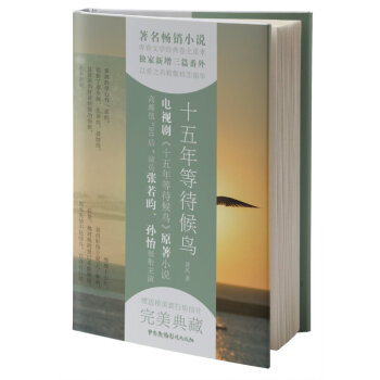 十五年等待候鸟 盈风作品 同名电视剧原著 触动心弦爱情故事诉说人生难以揭露情感现实青春小说 pdf epub mobi 电子书 下载