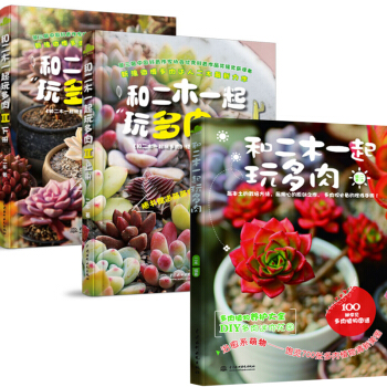 和二木一起玩多肉（共3册） pdf epub mobi 电子书 下载