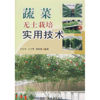 蔬菜无土栽培实用技术 pdf epub mobi 电子书 下载