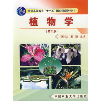 普通高等教育“十一五”国家级规划教材：植物学（第2版） pdf epub mobi 电子书 下载