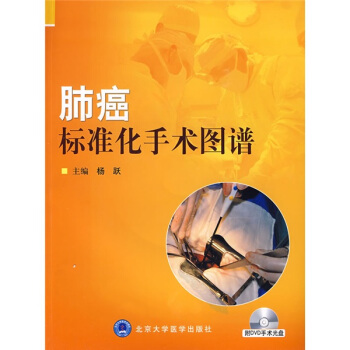肺癌标准化手术图谱（附DVD光盘1张） pdf epub mobi 电子书 下载