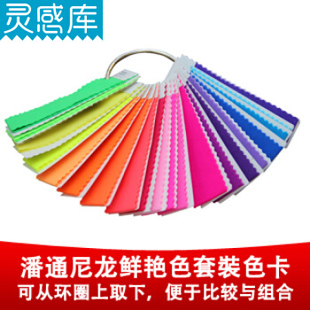 彩通PANTONE(音译潘通)服装纺织尼龙色卡国际标准TN色卡面料色卡套装FFN100