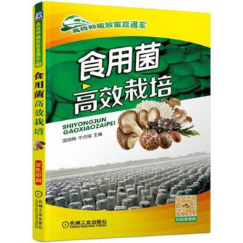 食用菌高效栽培 食用菌實用栽培技術大全書籍 平菇香菇金針菇蘑菇雞腿菇杏鮑菇種植技術 pdf epub mobi 電子書 下載