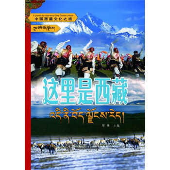 中國西藏文化之旅:這裏是西藏