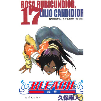 《境·界》死神17 pdf epub mobi 电子书 下载