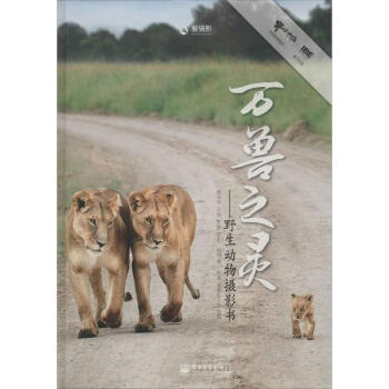 万兽之灵