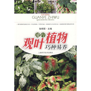流行觀葉植物巧種易養