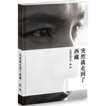 突然就走到瞭西藏 pdf epub mobi 電子書 下載