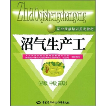 沼氣生産工：初、中、高級 pdf epub mobi 電子書 下載