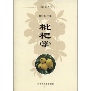 枇杷学 pdf epub mobi 电子书 下载