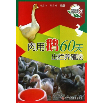 肉用鵝60天齣欄養殖法