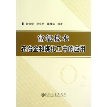 富氧技术在冶金和煤化工中的应用 pdf epub mobi 电子书 下载